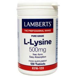 l-lysine 500mg /l8316-120 >